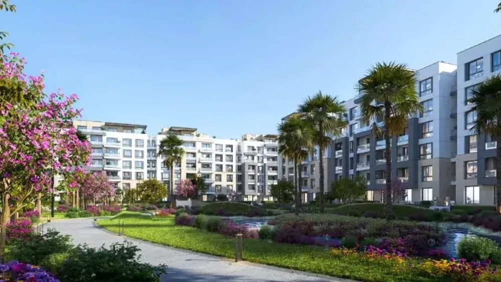 Jazal | Forsa Property