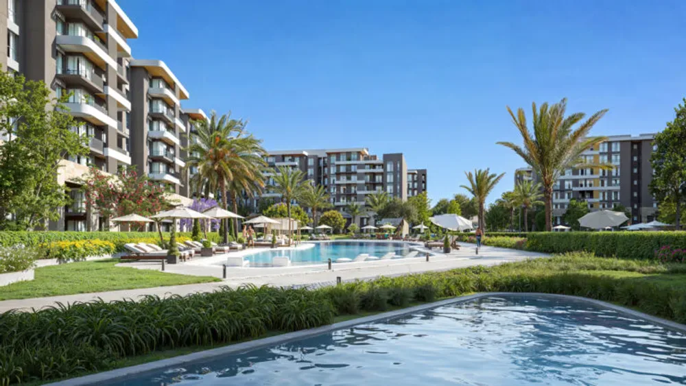 Qamari | Forsa Property