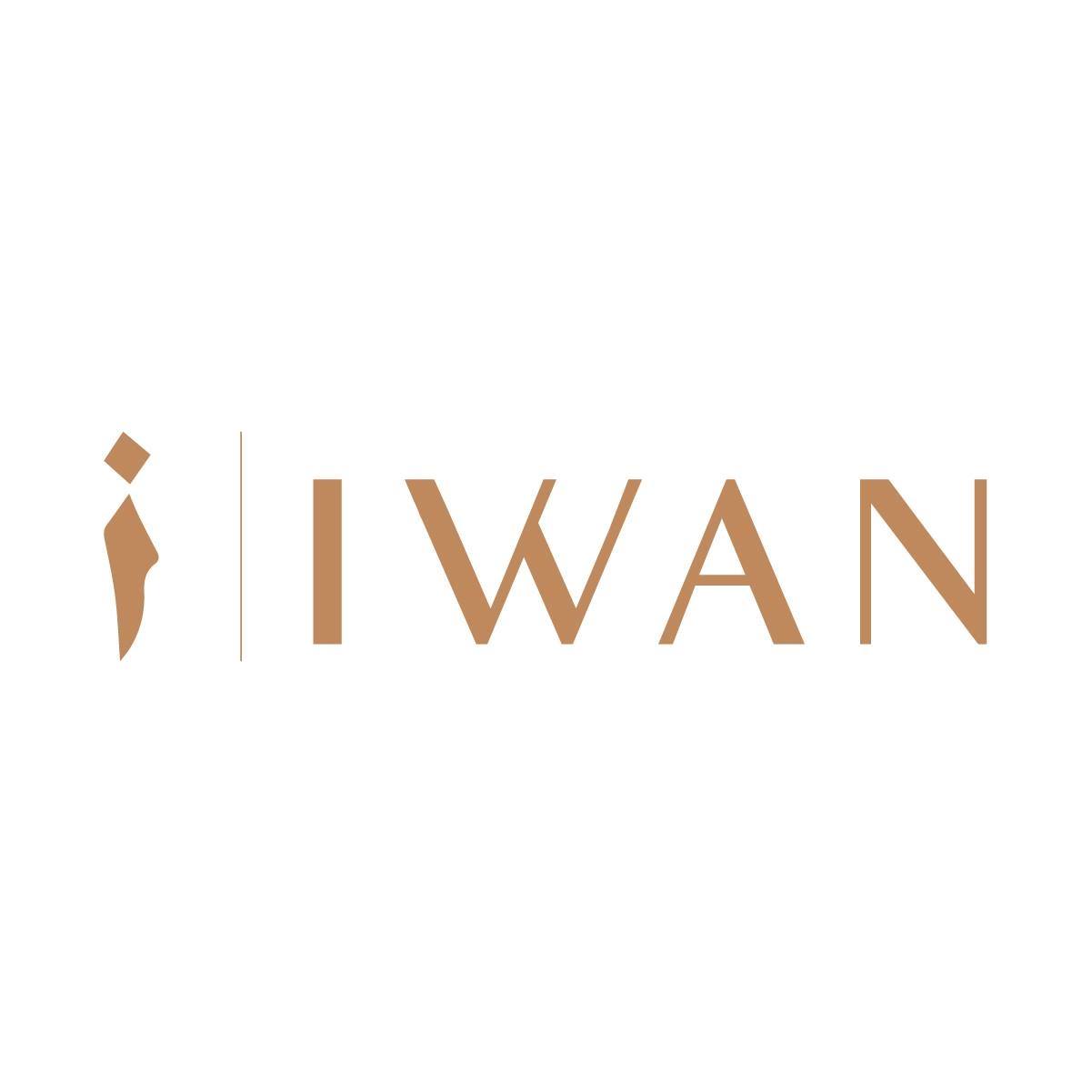 IWAN Developments logo
