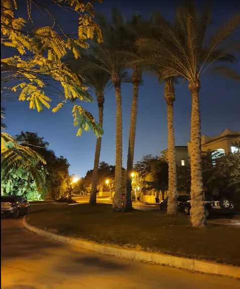 فيلا 4 غرف في الجزيره كمباوند من الجزيره جروب للبيع في مدينة الشيخ زايد | Forsa Property