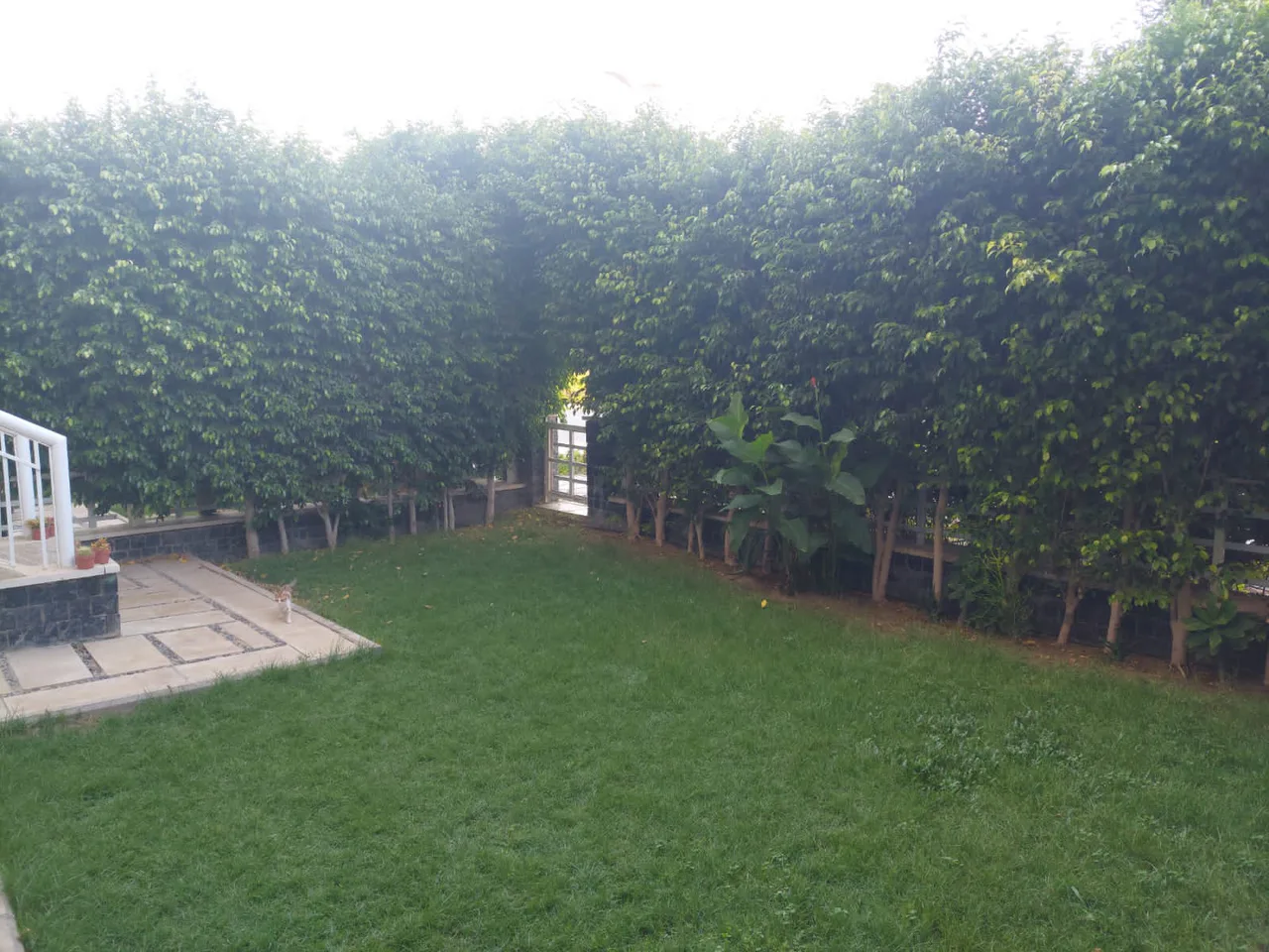 4 Bed Apartment with Garden at Madinaty by Talaat Moustafa Group (TMG) Holding For Sale in Madinaty, New Cairo City | Forsa Property