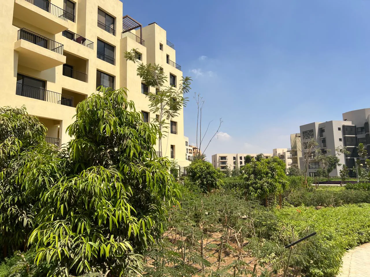 3 Bed Apartment at O West Orascom by Orascom Development Egypt For Sale in October Gardens City | Forsa Property