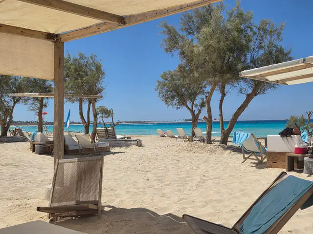 4 Bed Penthouse at Marsa Baghush by Shehab Mazhar For Sale in North Coast (Sahel) | Forsa Property 4 Bed Penthouse at Marsa Baghush by Shehab Mazhar For Sale in North Coast (Sahel) | Forsa Property