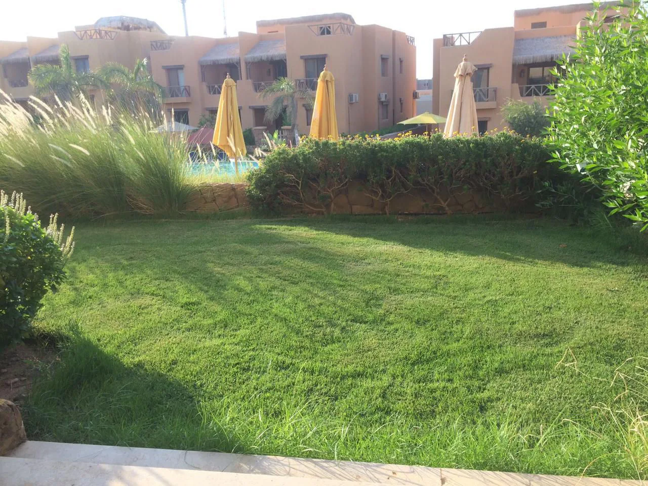 شاليه 3 غرف مع حديقة في ماونتن فيو السخنة من ماونتن فيو للبيع في العين السخنة | Forsa Property